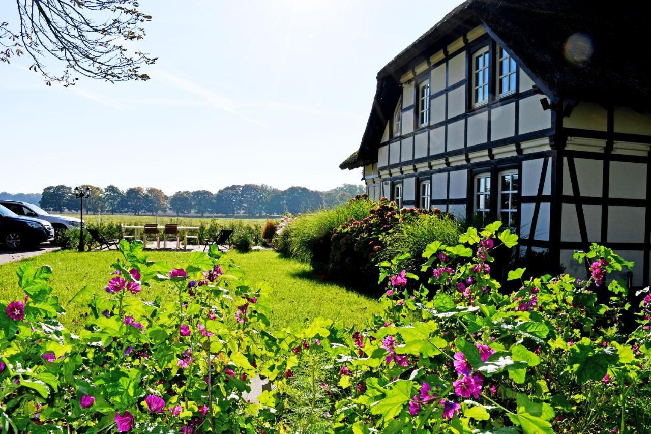 Reetdachfachwerkvilla Am Wiesengrund Bergen Auf Rugen Ngoại thất bức ảnh